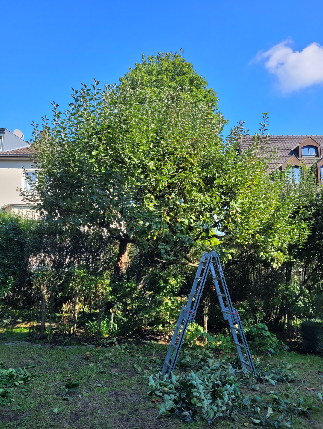 Garten und Landschaftsbau Aachen Gartenpflege